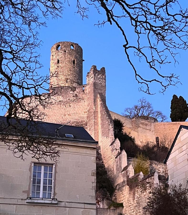 Le Gargantua, A 500m Du Chateau Apartment Chinon